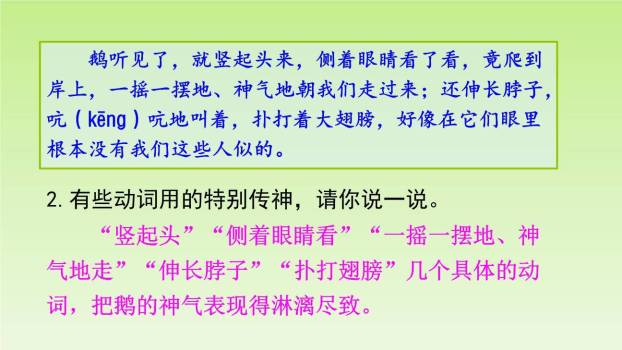 牛和鹅PPT课件85