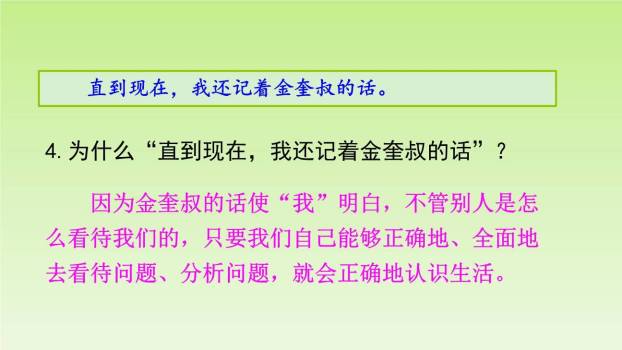 牛和鹅PPT课件87