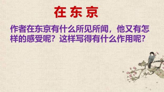 藤野先生PPT课件44