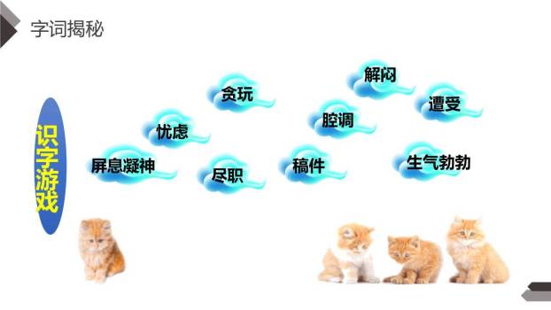 猫PPT课件15