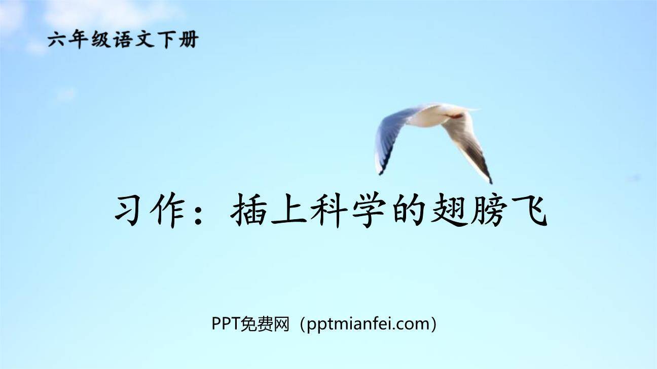 插上科学的翅膀飞PPT课件10