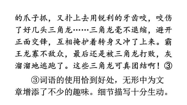 插上科学的翅膀飞PPT课件11