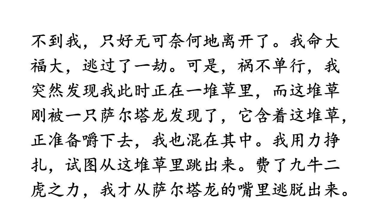 插上科学的翅膀飞PPT课件13