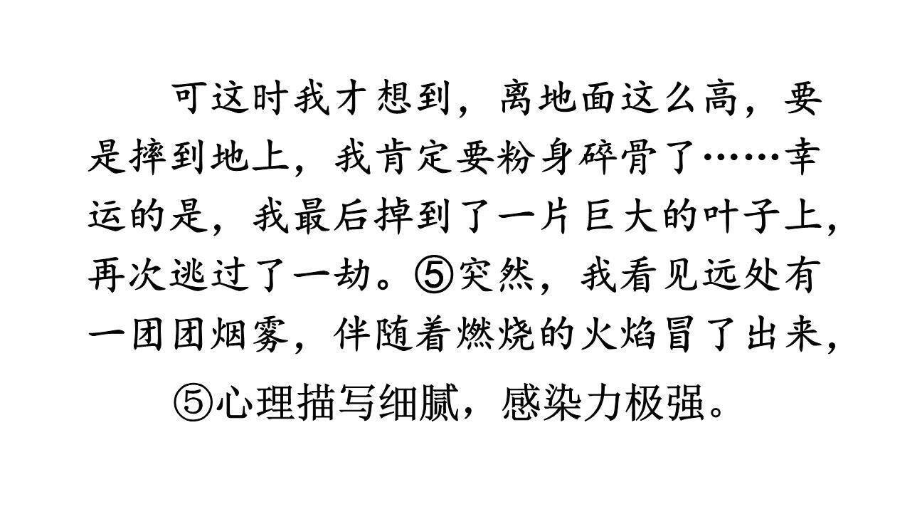 插上科学的翅膀飞PPT课件14