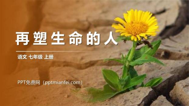 再塑生命的人PPT课件50