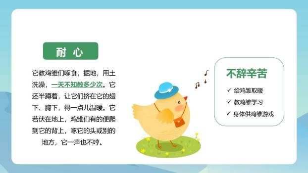 母鸡PPT课件76
