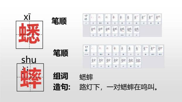 表里的生物PPT课件34