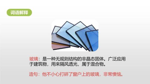 表里的生物PPT课件37