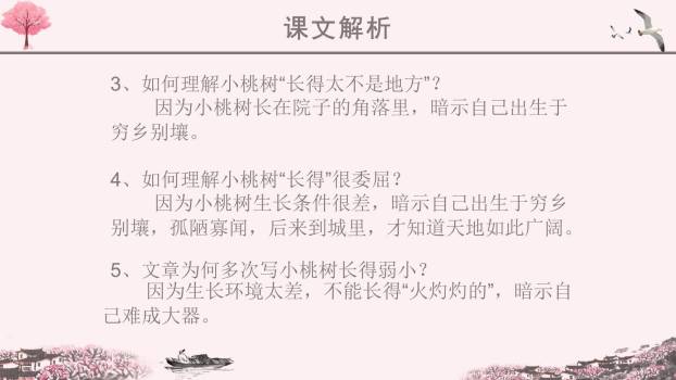 一颗小桃树PPT课件14