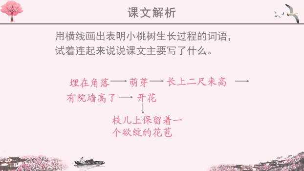 一颗小桃树PPT课件17