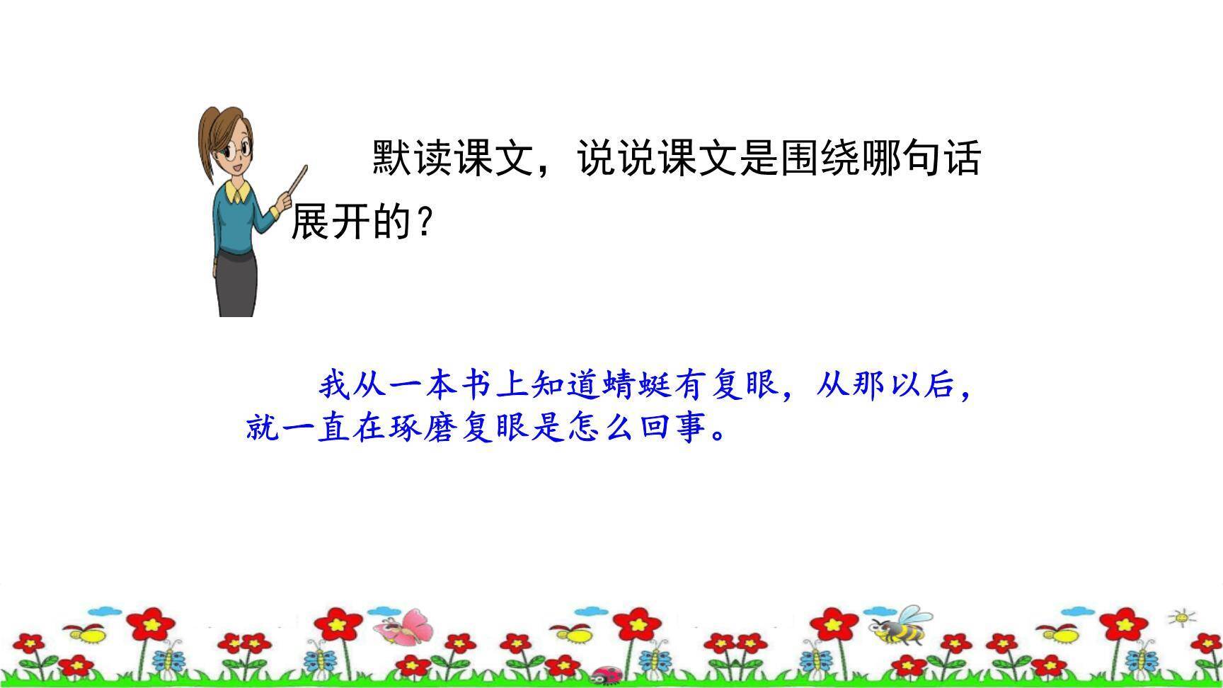 昆虫备忘录PPT课件62