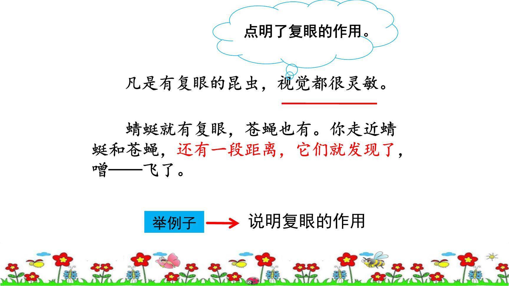 昆虫备忘录PPT课件65