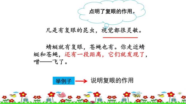 昆虫备忘录PPT课件65