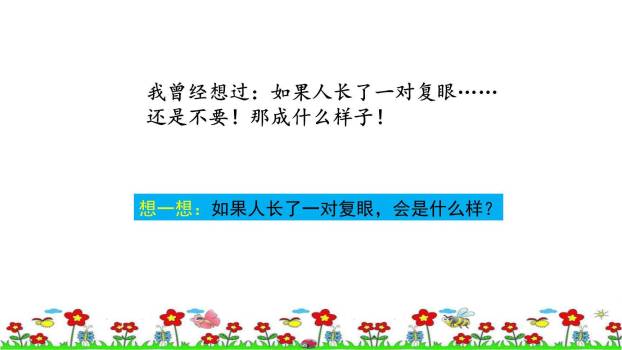 昆虫备忘录PPT课件67