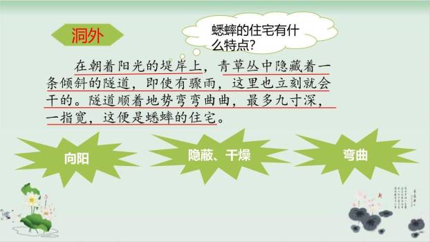 蟋蟀的住宅PPT课件78