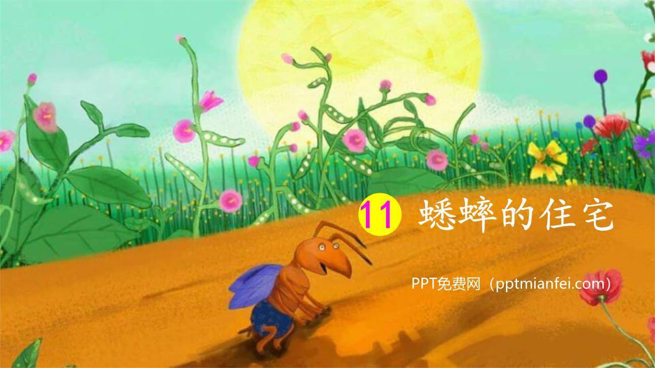 蟋蟀的住宅PPT课件70