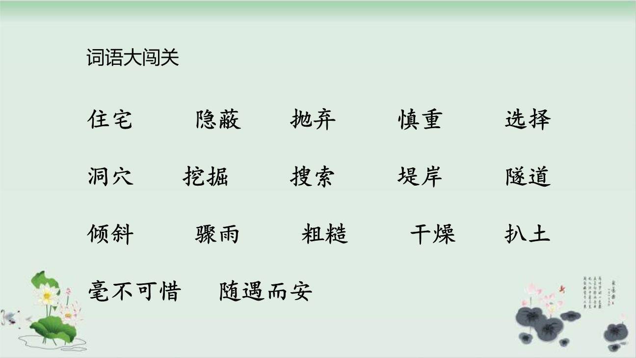 蟋蟀的住宅PPT课件74