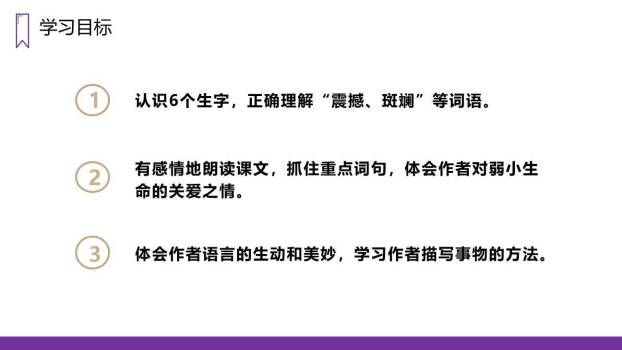 蝴蝶的家PPT课件38