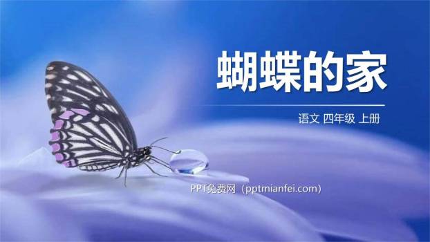 蝴蝶的家PPT课件30