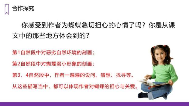 蝴蝶的家PPT课件34