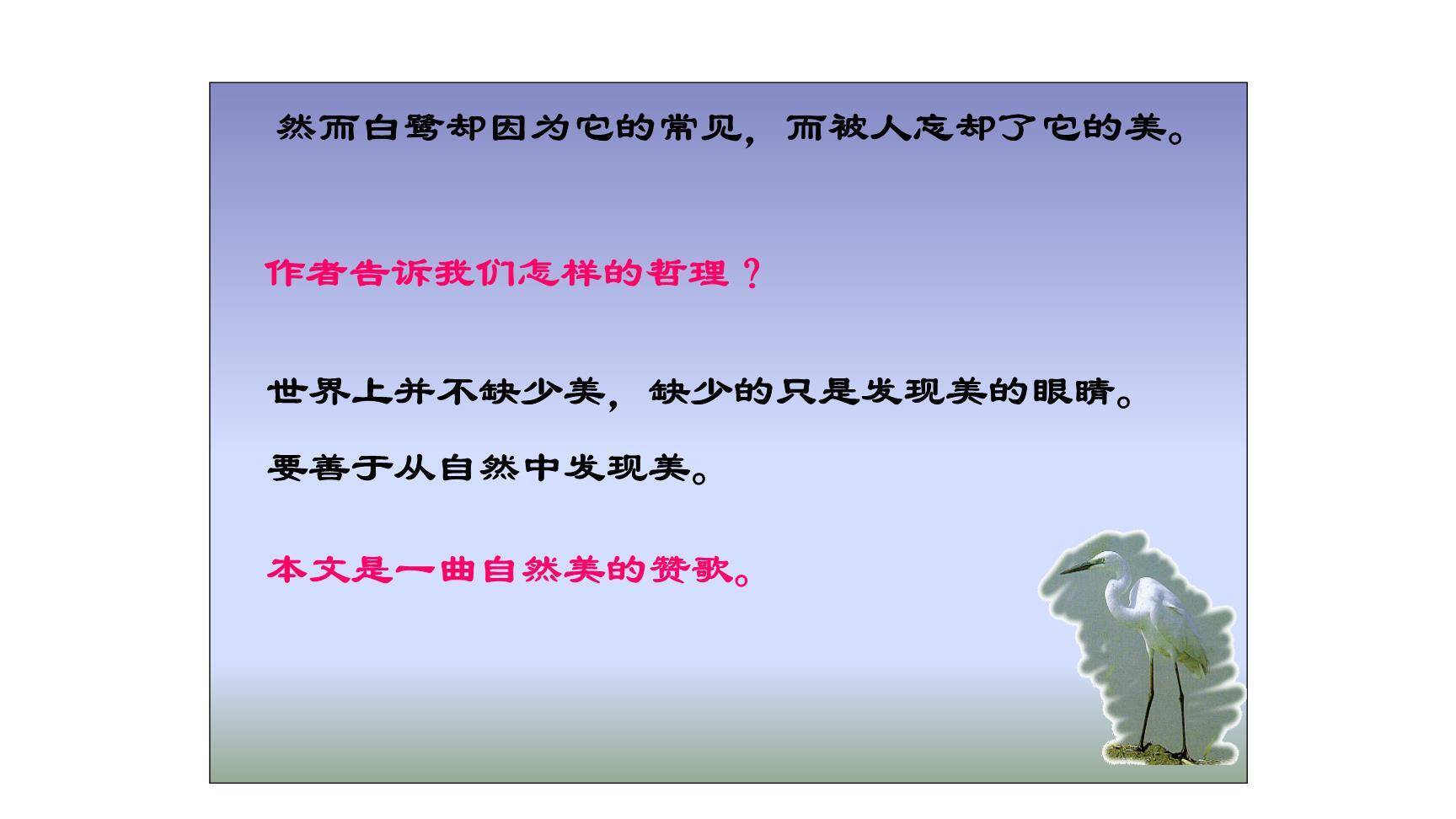 白鹭PPT课件29