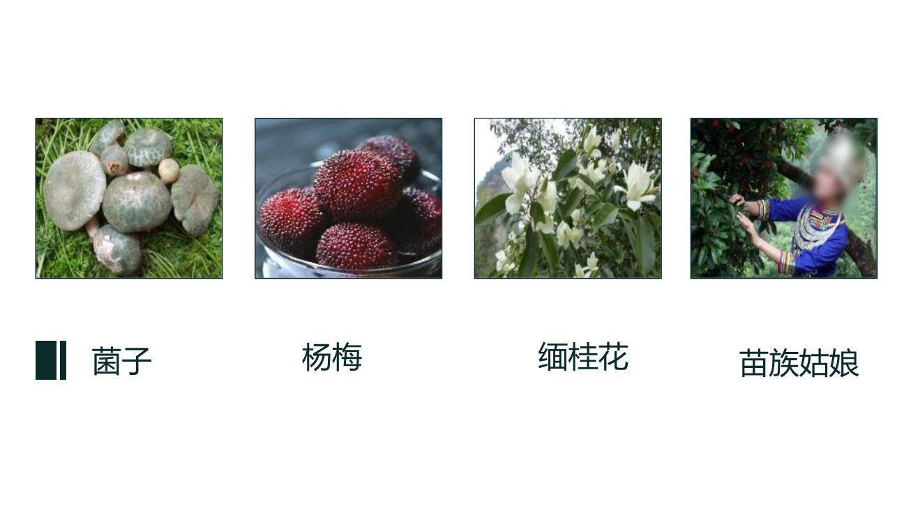 昆明的雨PPT课件24