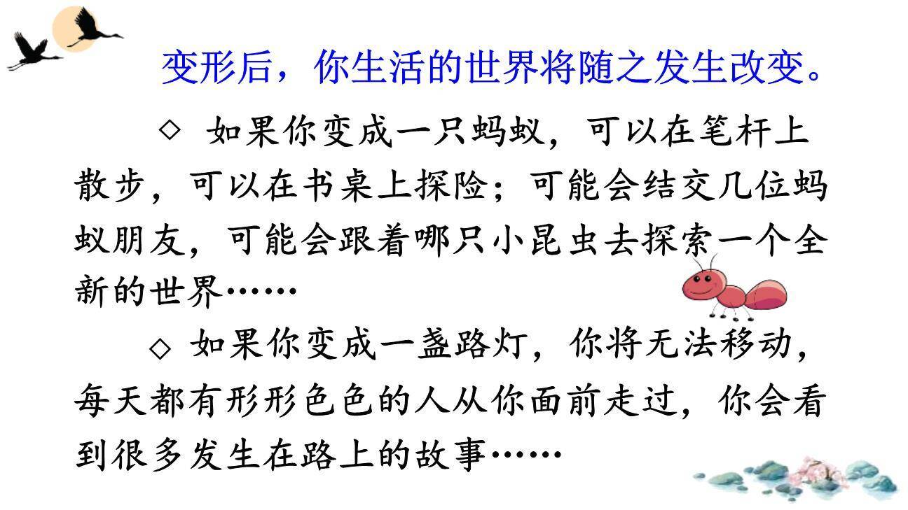 变形记PPT课件38