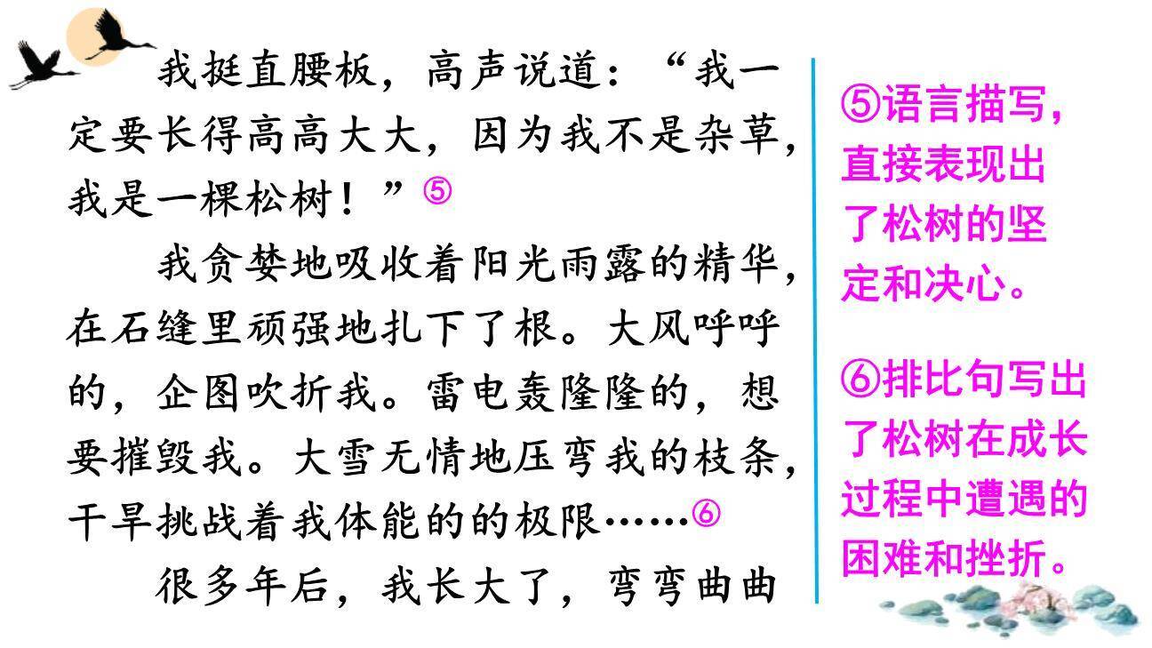 变形记PPT课件33