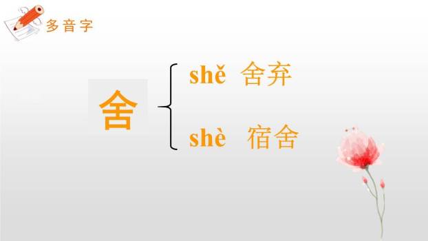 一匹出色的马PPT课件16