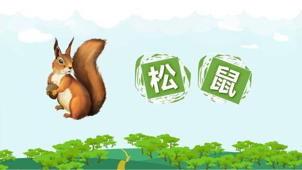 松鼠PPT课件70