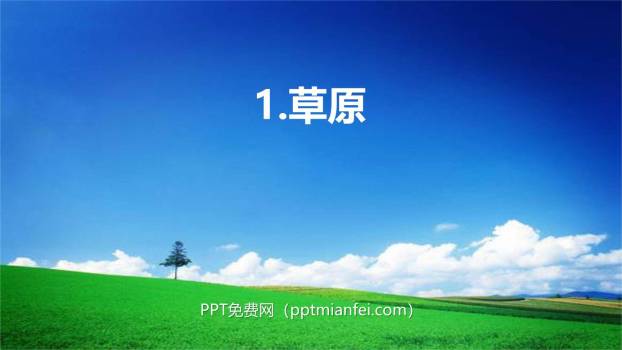 草原PPT课件10