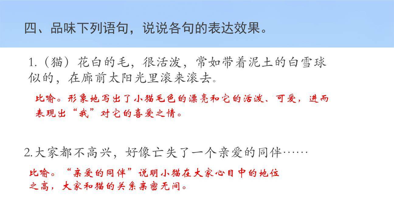 《猫》PPT课件73