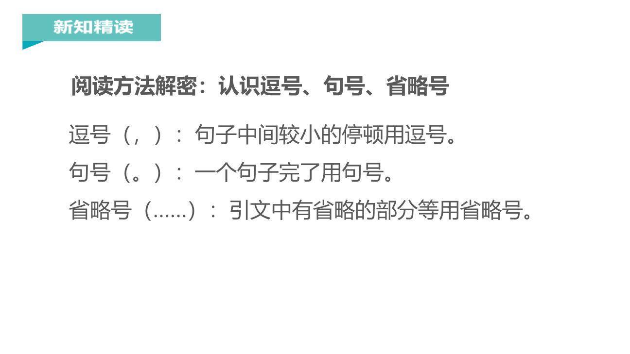 青蛙写诗PPT课件19