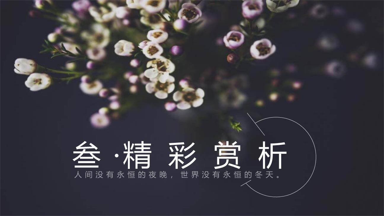 《艾青诗选》如何读诗PPT课件22