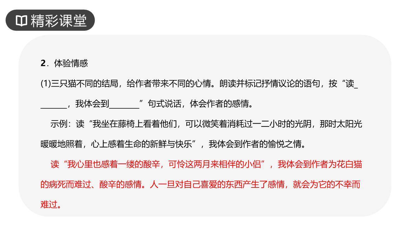 《猫》PPT课件56