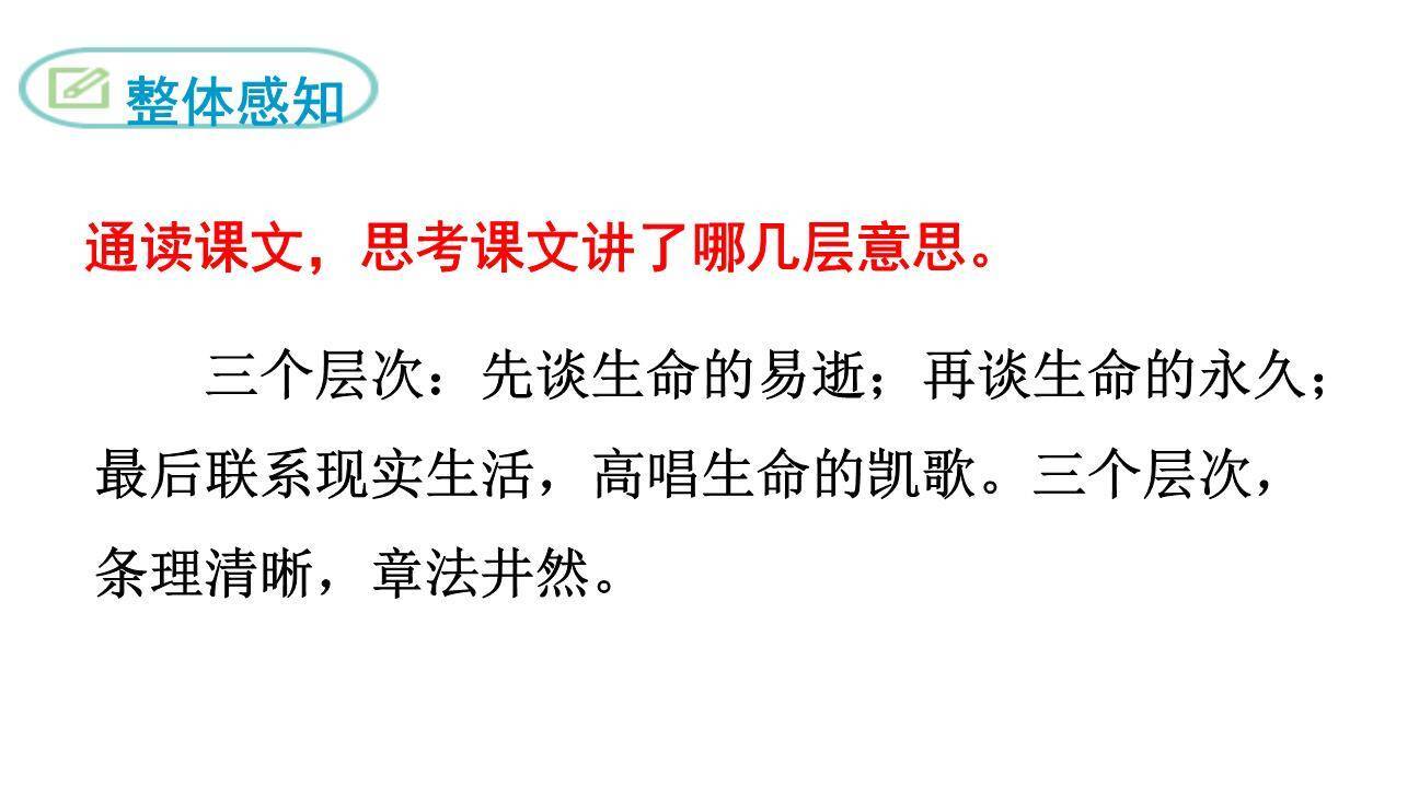 永久的生命PPT课件25