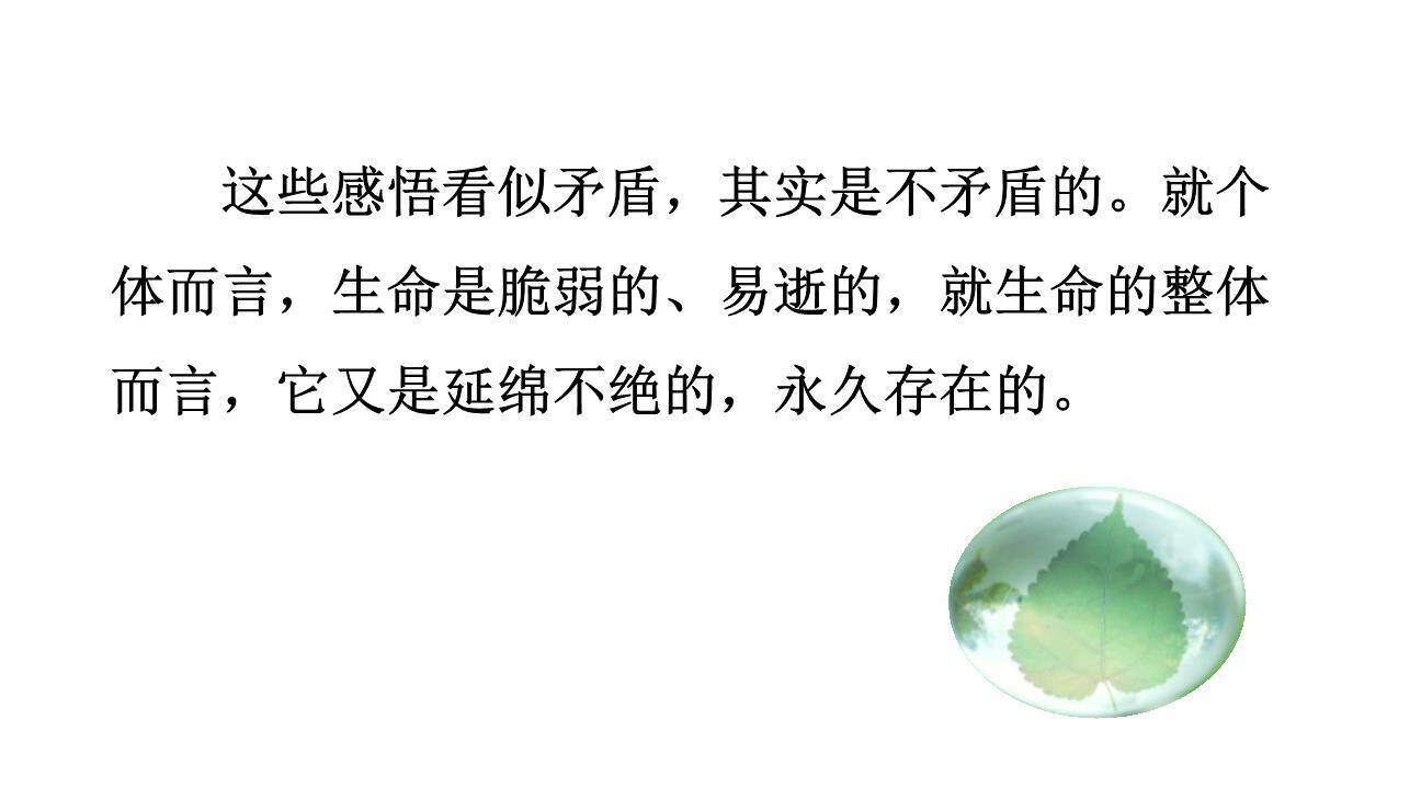 永久的生命PPT课件27