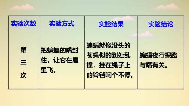 蝙蝠与雷达PPT课件58