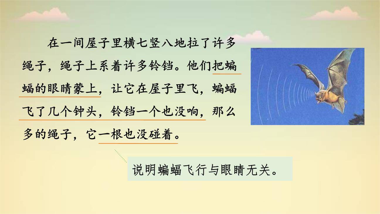 蝙蝠与雷达PPT课件54