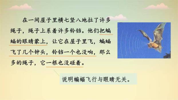 蝙蝠与雷达PPT课件54