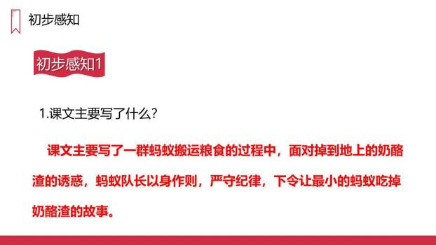 一块奶酪PPT课件24