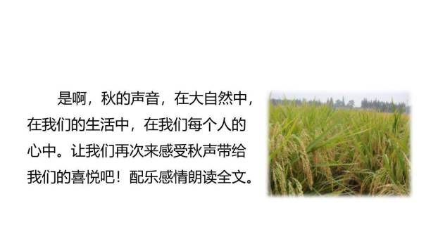 听听秋的声音PPT课件22