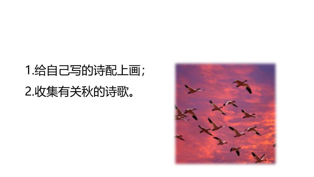 听听秋的声音PPT课件23