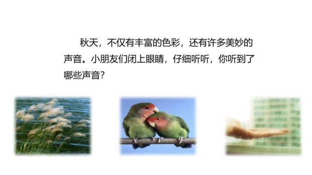 听听秋的声音PPT课件25