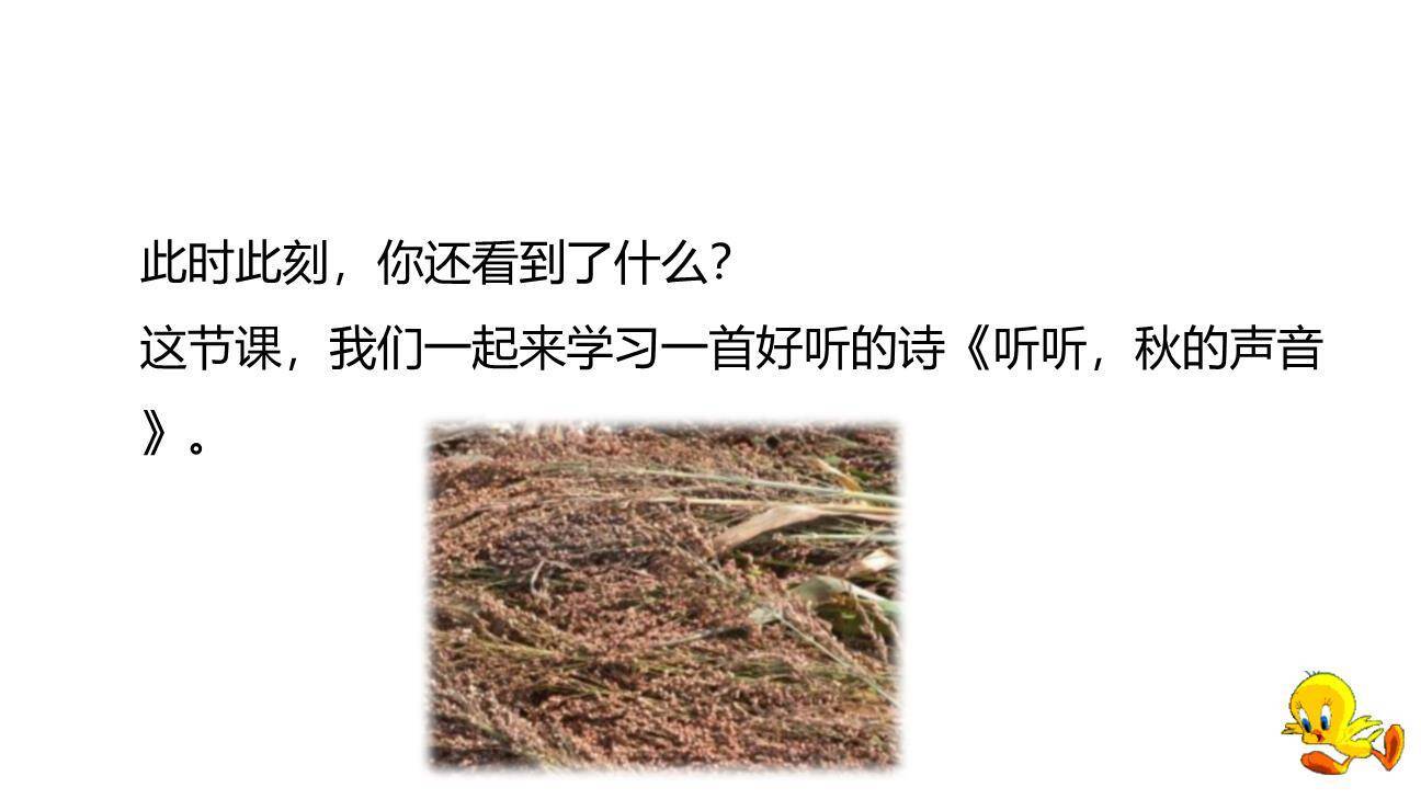 听听秋的声音PPT课件26