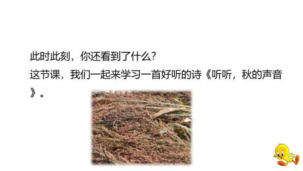 听听秋的声音PPT课件26