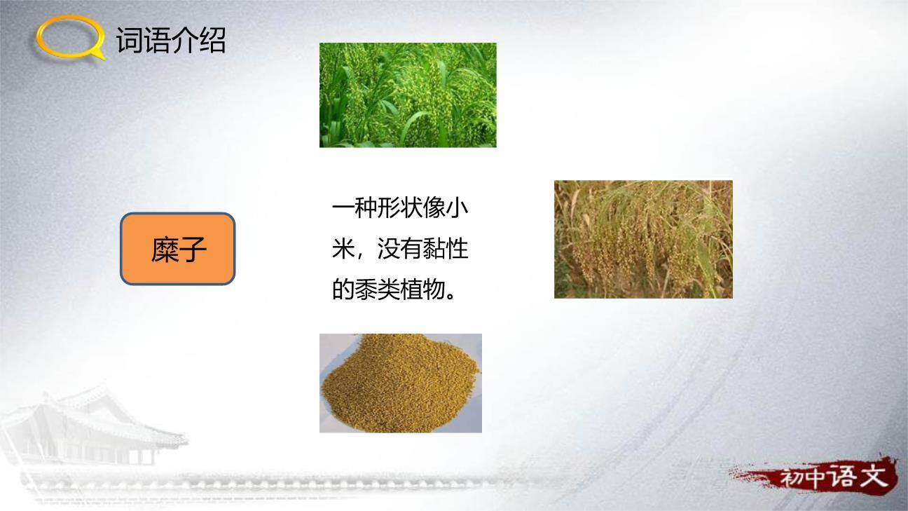 回延安PPT课件16