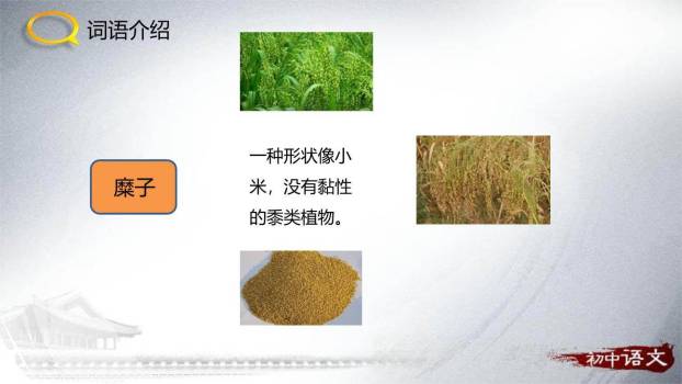 回延安PPT课件16