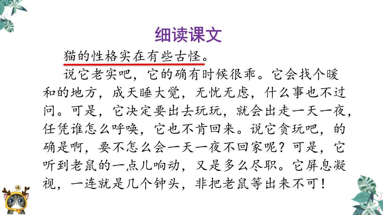 猫PPT课件53