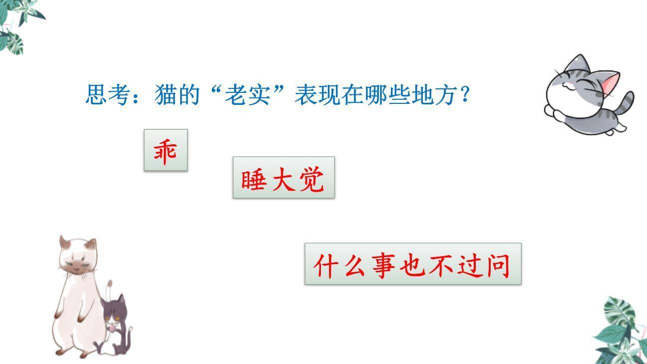 猫PPT课件55